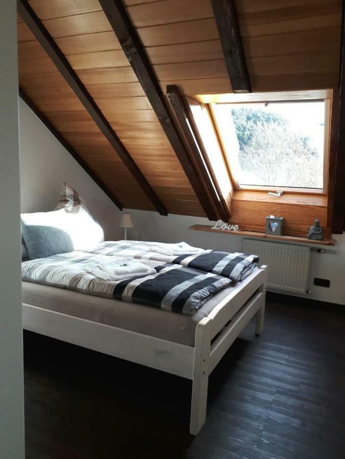 Ferienwohnung Ruhenest Willingen  Dış mekan fotoğraf